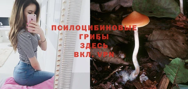 синтетический гашиш Арсеньев